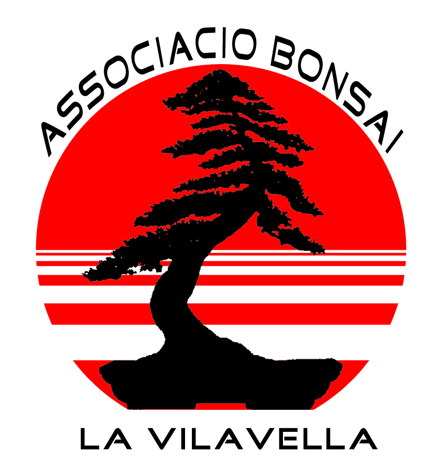 Logo Asociacion